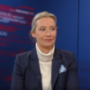 Was nun, Frau Weidel? (ZDF)