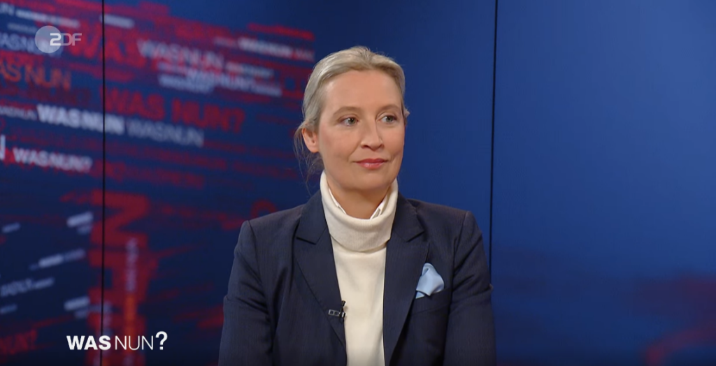 Was nun, Frau Weidel? (ZDF)