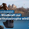 Reinhardswald: Wenn Windkraft zur Umweltkatastrophe wird!