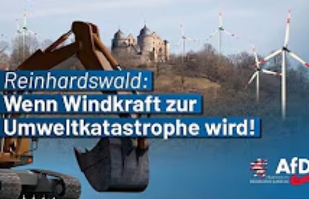 Reinhardswald: Wenn Windkraft zur Umweltkatastrophe wird!